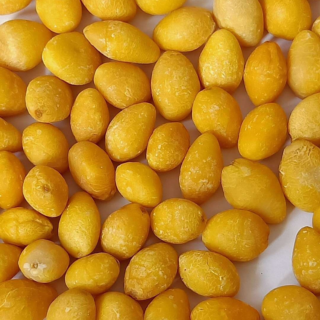 Freeze-dried ginkgo nuts special for freeze-dried ginkgo nuts bulk fd freeze-dried ginkgo nuts powder drying White nuts