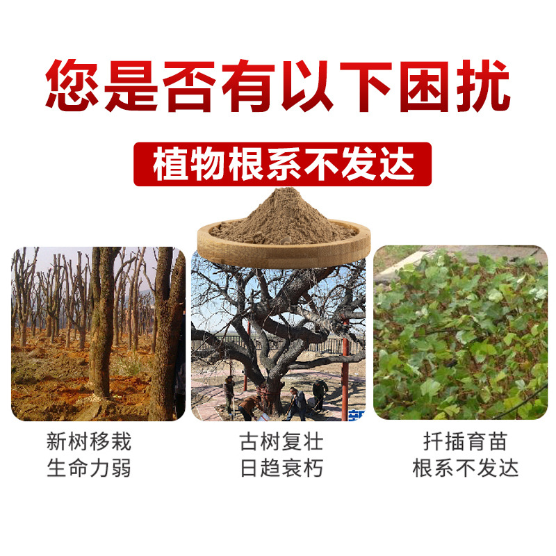 Guoguang 20% Naphtalene Acetic Acid Rooting Powder Rooting Agent for Cuttings and Transplants to Strengthen Seedlings and Strengthen Roots to Increase Growth Regulator