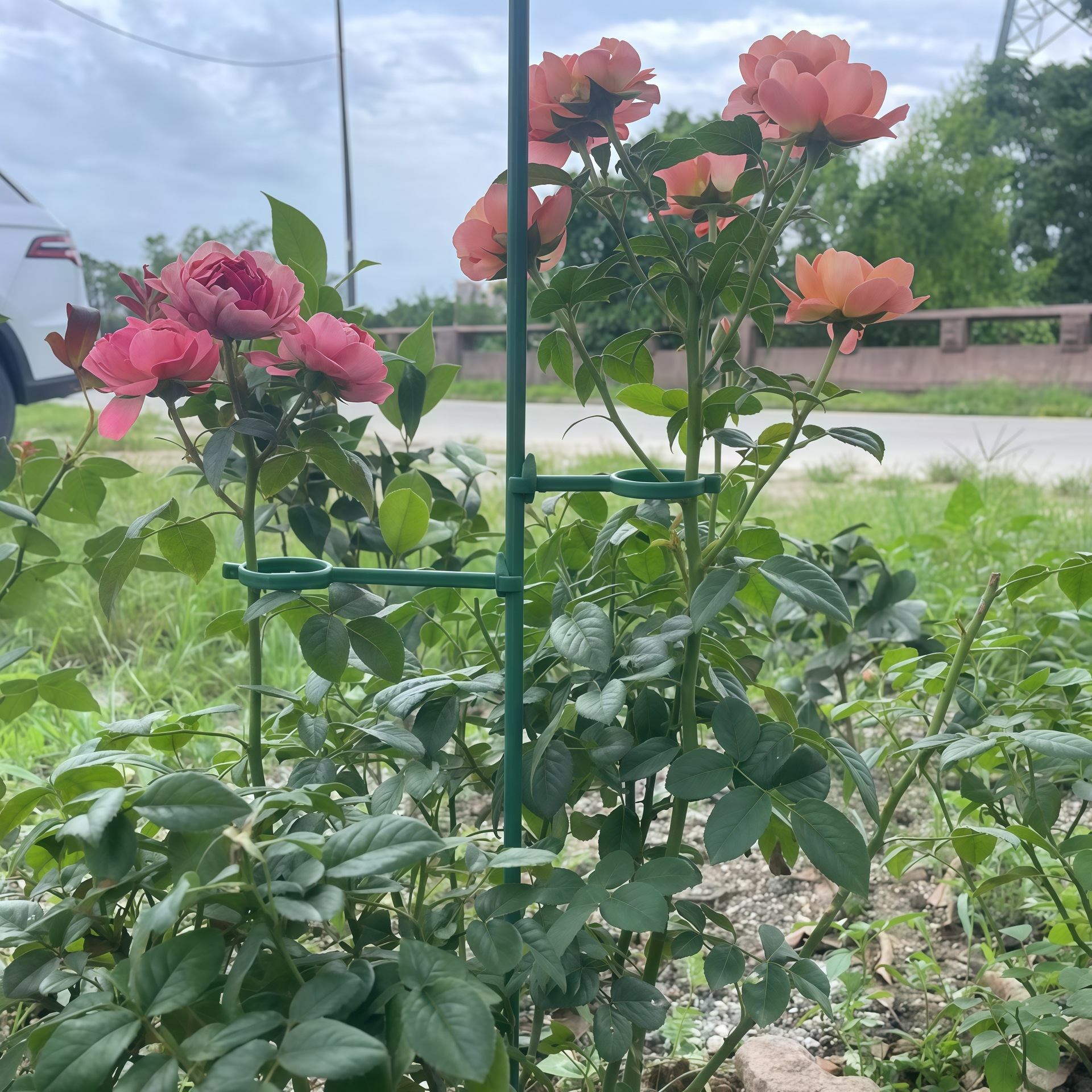 Fixed Anti-Lodging Flower Support Frame, Single-Pole Outdoor Garden Support for Climbing Roses, Hydrangeas, and Other Flowers