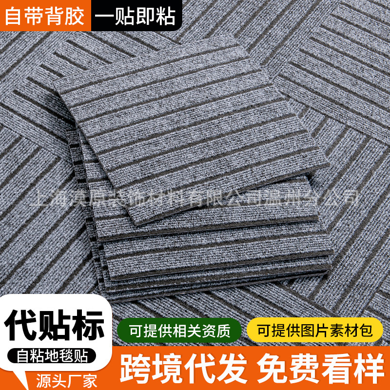 Cross-Border Self-Adhesive Splicing Carpet 30Cmx30Cm Household Carpet Cat Claw Board Commercial Carpet Living Room Bedroom Drop Shipping