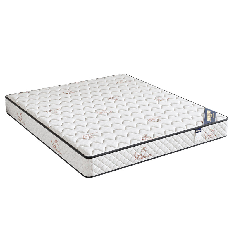 Simmons Spring Mattress, 20cm Thick, Latex and Coconut Fiber, Suitable for Rental Apartments, Firm and Soft Dual-Use, Economical Type 1.5m