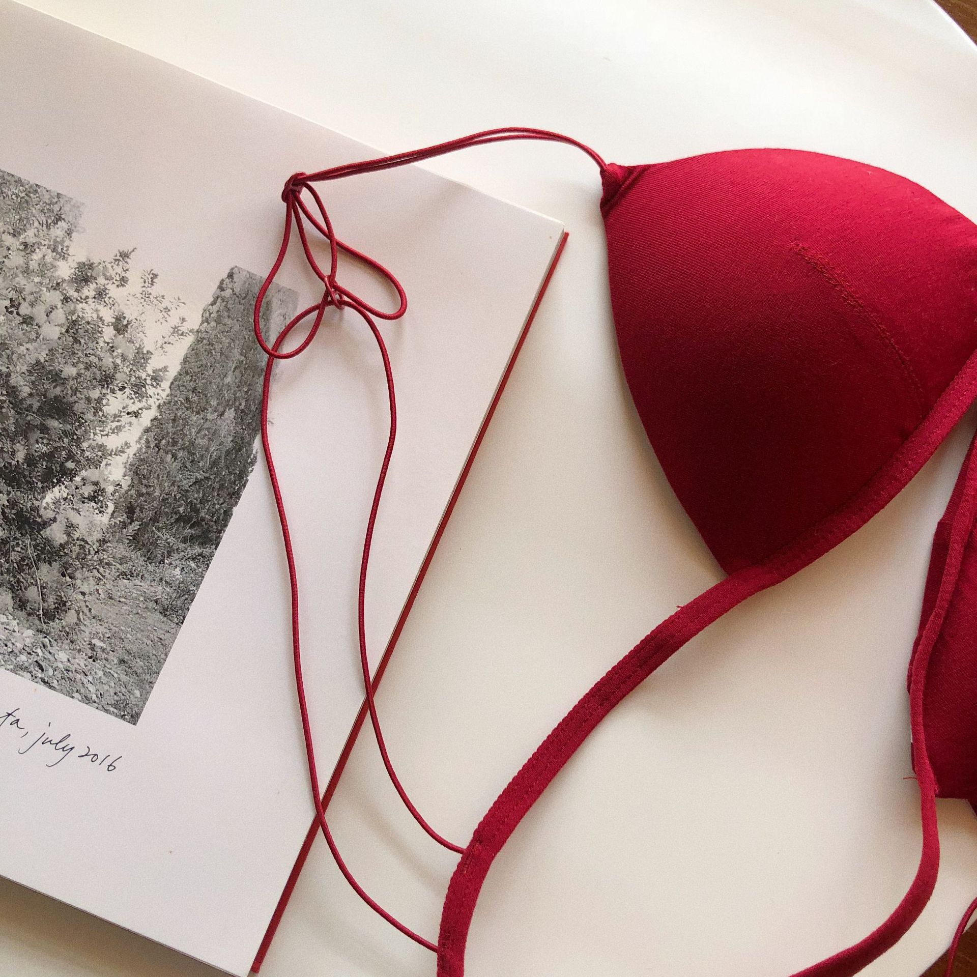 French Beautiful Back Intimates Front Button Bra Set Triangle Cup Young Ladies Student Bra No Steel Ring Sexy Export