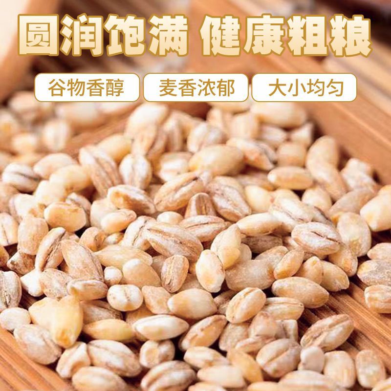 Barley Kernels Vacuum Packed 500g Whole Grains Low-Fat Whole Grain Meal Replacement Satiety Wholesale Dropshipping Oem Processing