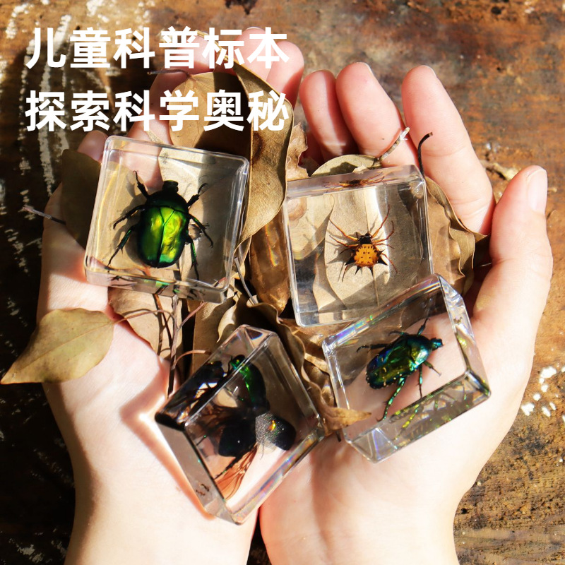 Strength Factory Customized Real Insect Specimen Children's Research Toys Crystal Glue Drops Resin Ornaments Spider Scorpion