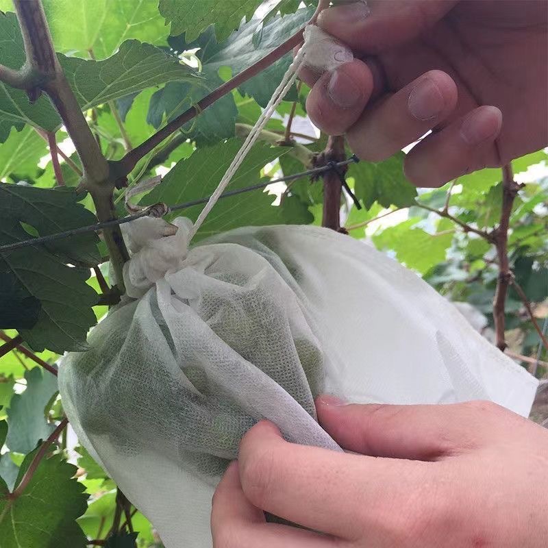Non-woven Fruit Bagging, Grape Bag, Bird-proof, Insect-proof and Waterproof Special Fruit Bag, Seedling Bagging, Ready-made Wholesale