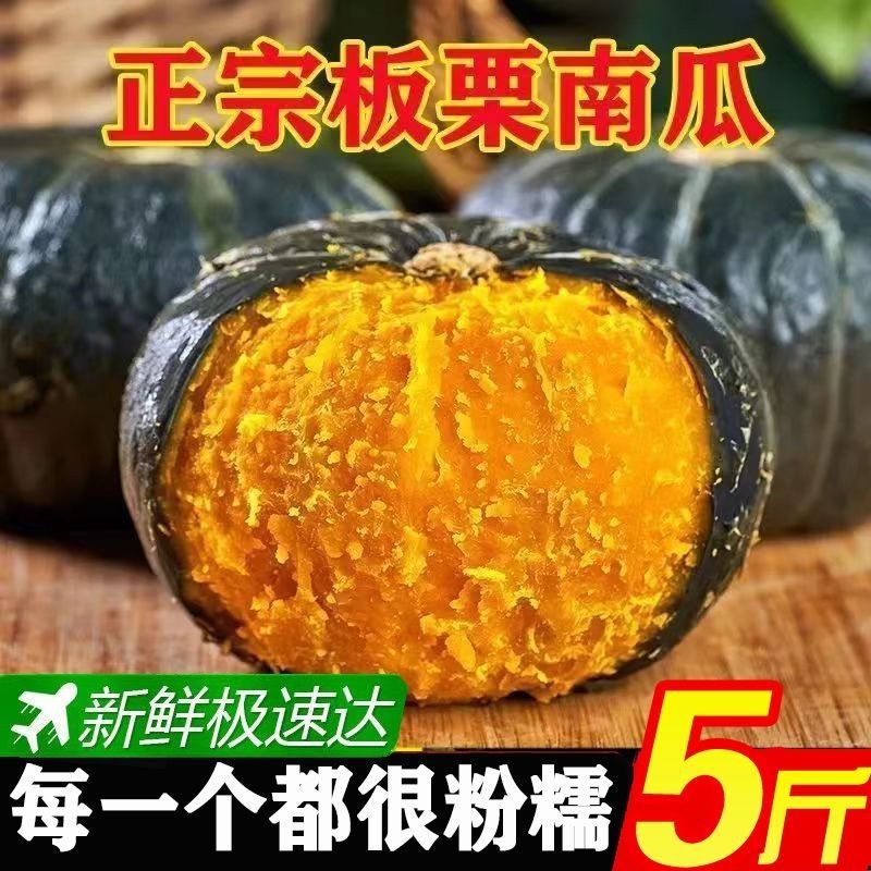 Too Glutinous and Too Sweet] Authentic Beibei Chestnut Pumpkin Baby Food Supplement Fresh Vegetables Beibei Small Pumpkin Whole Box