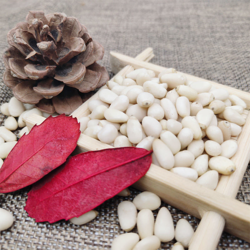 2024 New Large Particle Pine Nuts Raw Pine Nuts Wholesale Fresh Original Nut Snacks Bag Bulk Net Weight Free Shipping