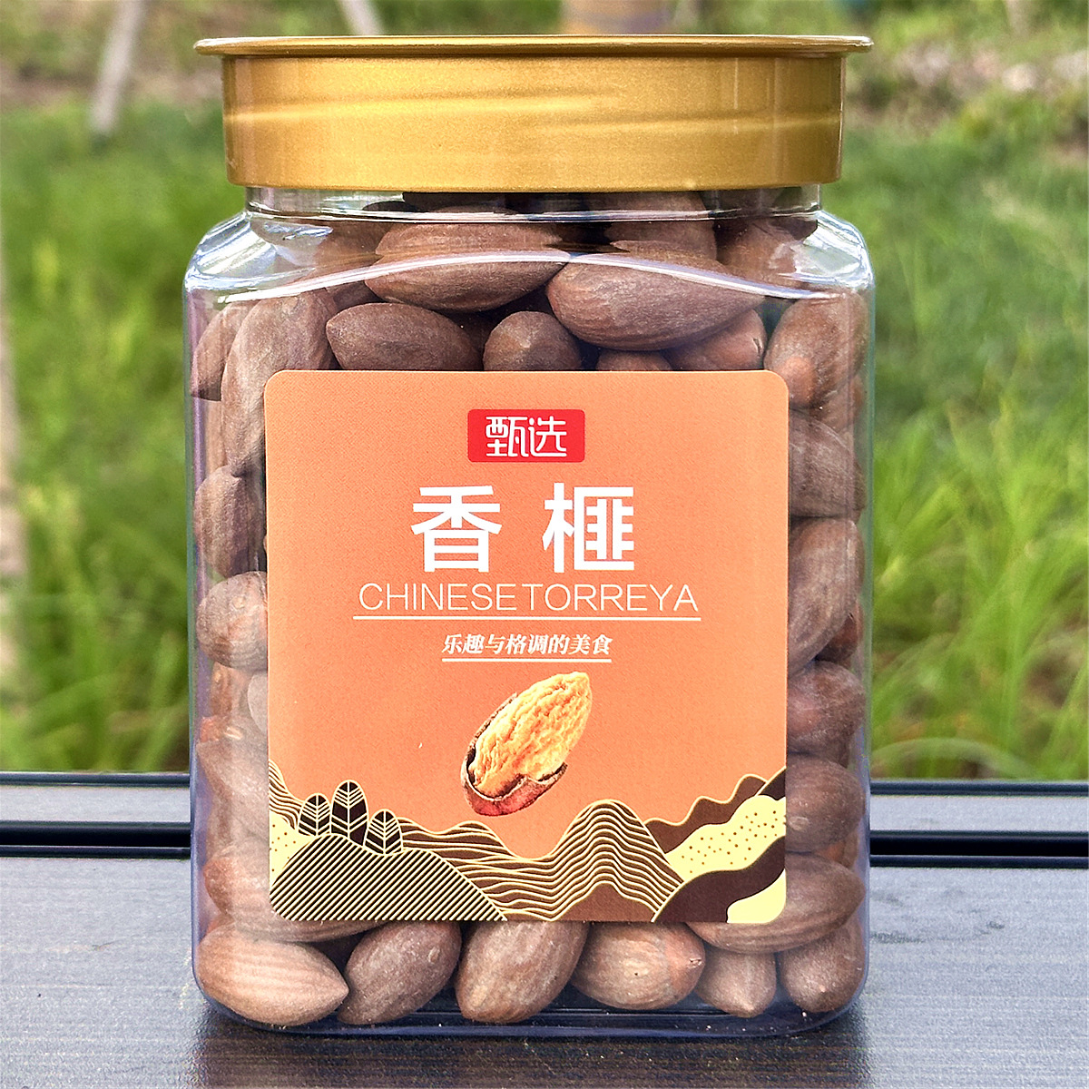 25 Years New Crop Zhuji Torreya Maple Bridge Specialty Torreya Seeds Dried Fruit 450g Canned Bottled Bulk Wholesale