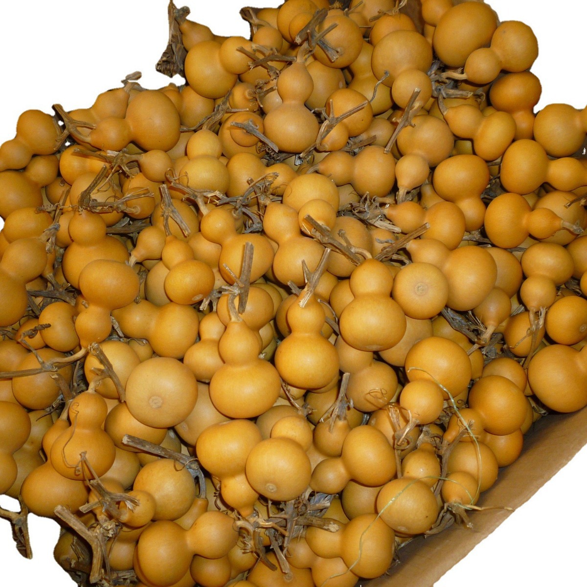 Origin small gourd hand twist gourd Wen play small gourd