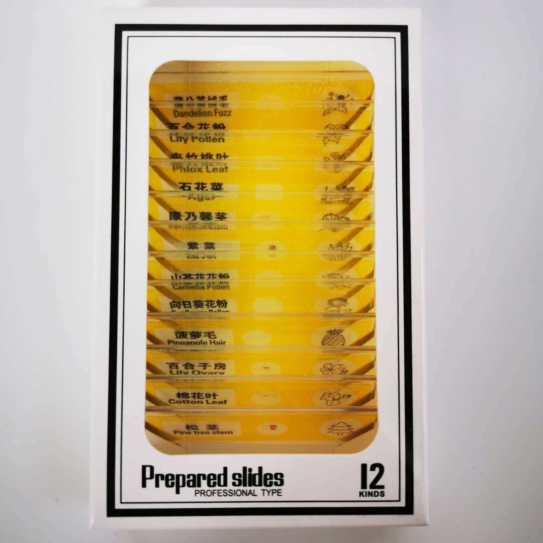 Portable Microscope Children's Plastic Specimen Children's Experimental Biological Slide Specimen Slice