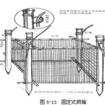 Oyster Culture Fixed Cage Support Pile