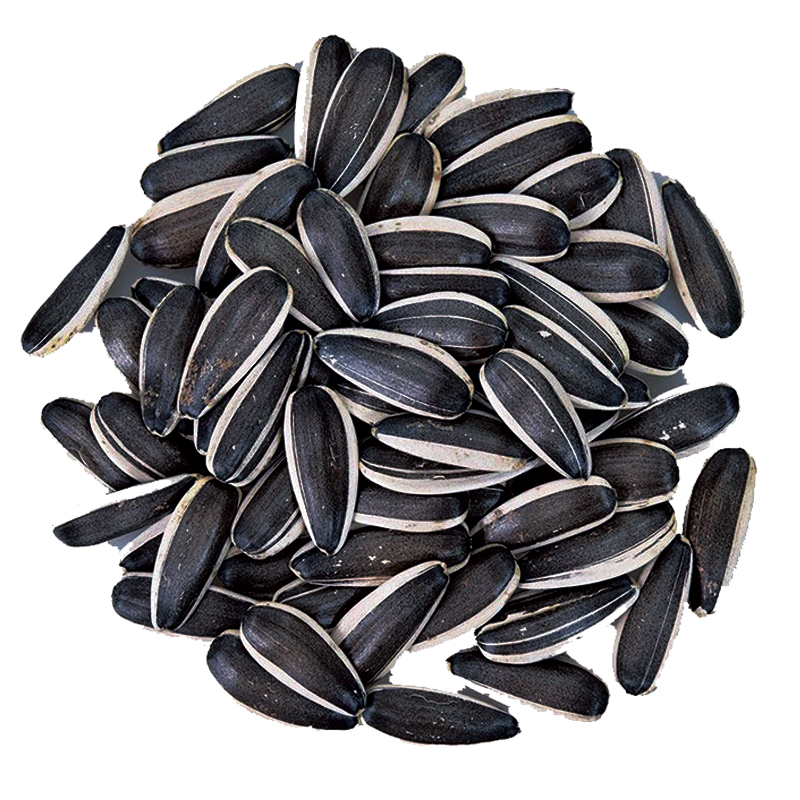 Raw Sunflower Seeds with Thin Skin and Large Kernels from Inner Mongolia 2.5kg Bulk Fresh Roasted Original Sunflower Seeds