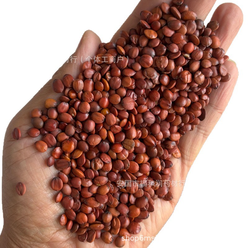 Authentic Wild Roasted Jujube Kernel Chinese Herbal Medicine, No Additives Sleep Tea, Jujube Kernel Powder