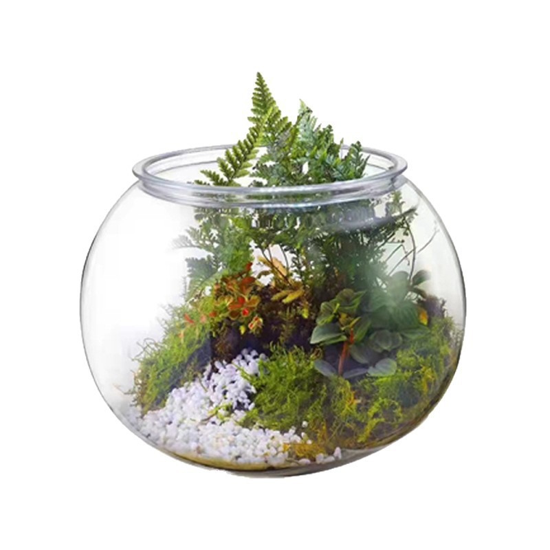 Plastic Fish Tank Goldfish Tank Desktop High Transparency Landscape Landscaping Round Mini Fish Tank Office Turtle Tank