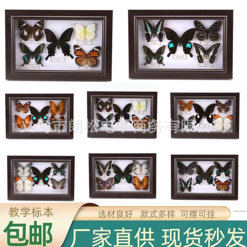Настоящий образец бабочки, бабочки ручной работы, фоторамка, подарок на день рождения, настенные украшения, домашние украшения