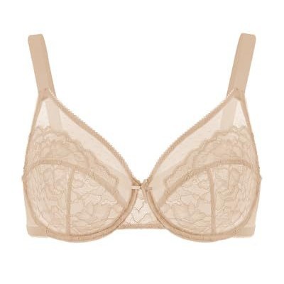 Amazon Cross-Border French-Style Sexy Lace Bra for Women, Foreign Trade Plus-Size Lingerie, Ultra-Thin Mesh Push-Up Bra, European and American Style