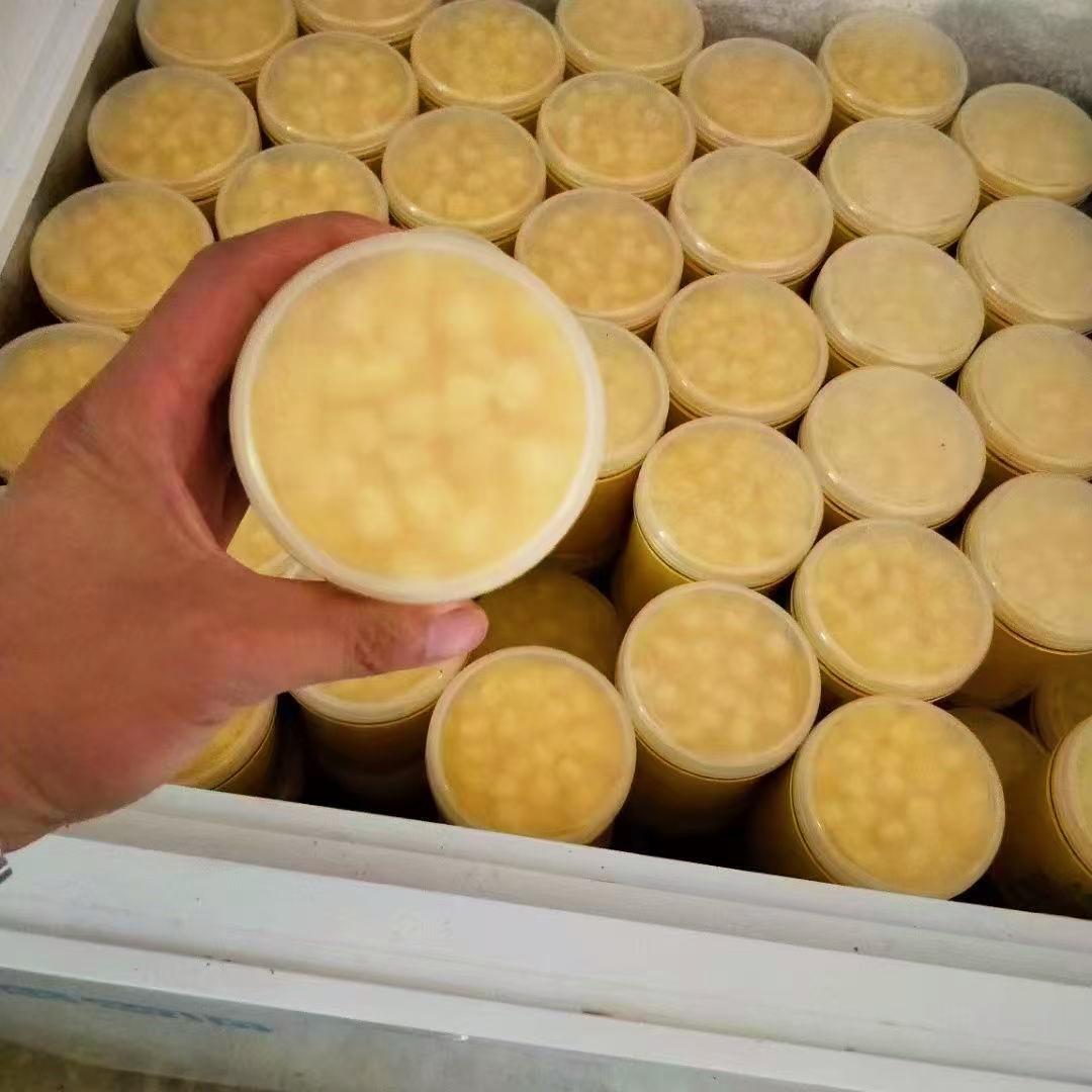 Fresh Royal Jelly from Deep Mountains in Changbai Mountain, Non-Extracted Fresh Royal Jelly, Wholesale Spring Jelly, High Content