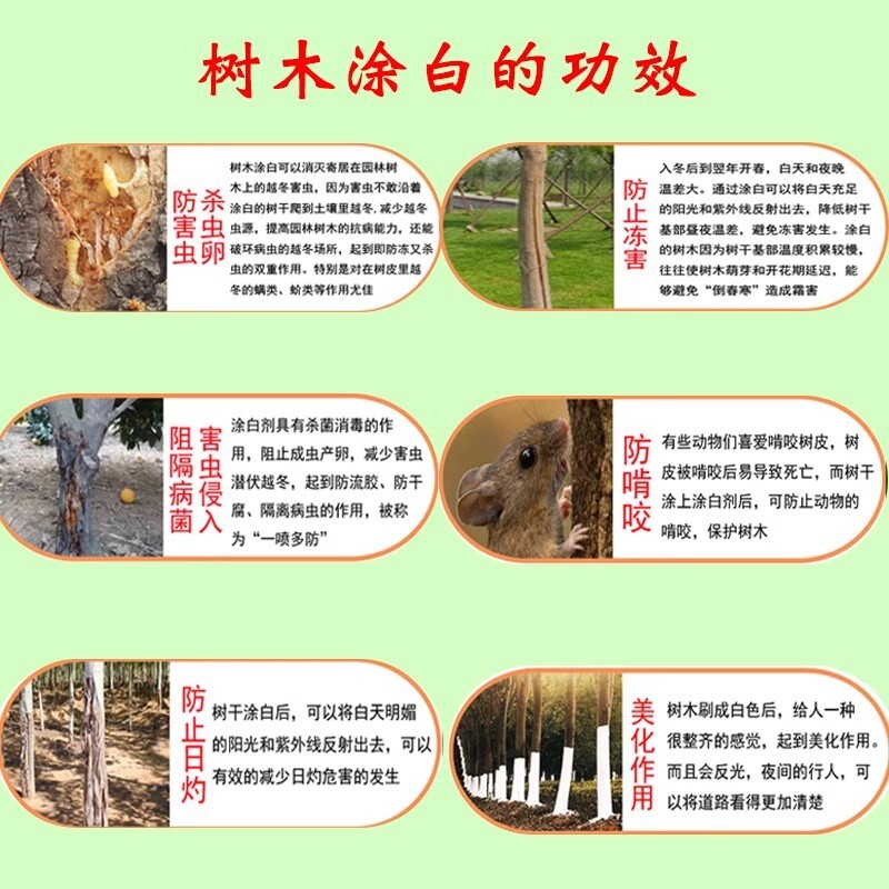 Trunk Whitening Agent for Fruit Tree Greening, Insect and Frost Protection, Tree Whitening and Garden Clearing, Sprayable, 20kg Pack