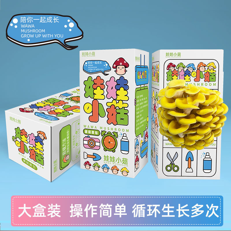 Pleurotus ostreatus mushroom bag strain edible bag mushroom planting mushroom bag balcony fun boxed children