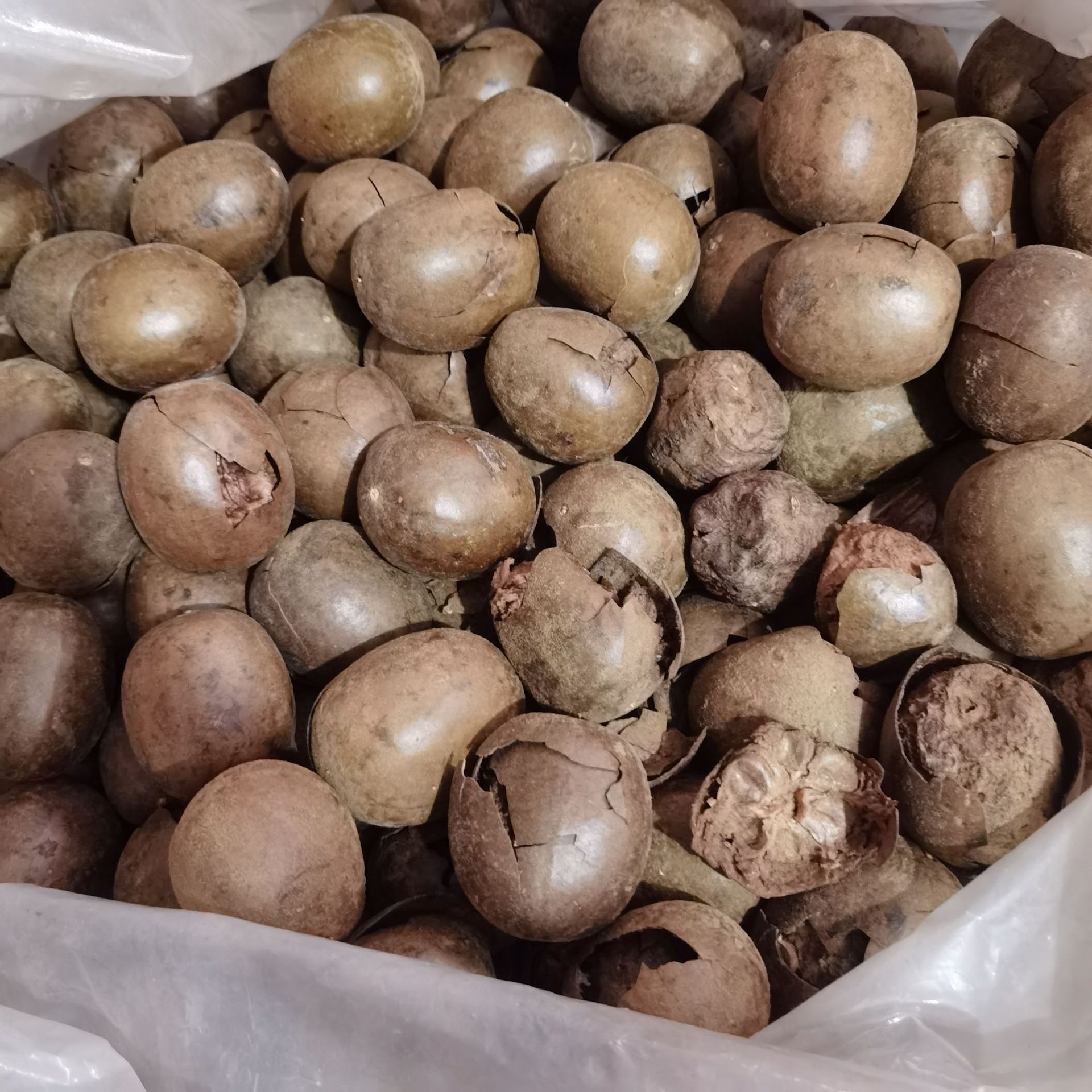 Luo Han Guo Whole Fruit, Big Luo Han Guo Flower and Fruit, Luo Han Guo Tea, Han Guo Flower Tea, Bulk Wholesale Luo Han Guo