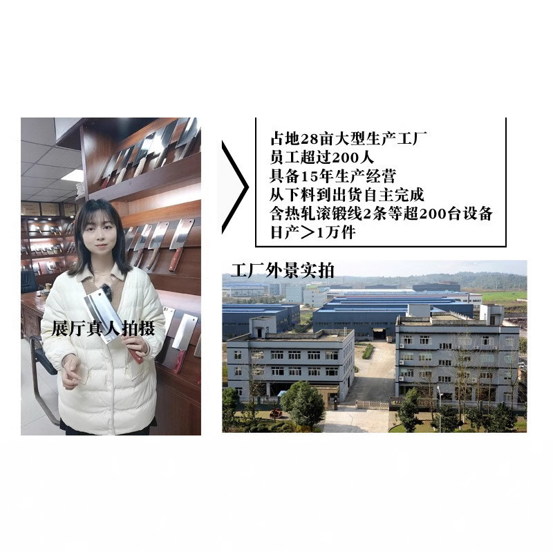 Professional Fish Knife Sushi Cooking Knife Chef Multi-purpose Knife Sashimi Knife for Hotel Special Swordfish Sashimi Knife Salmon Knife