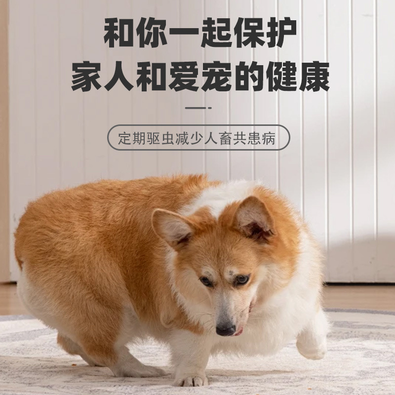 Fipronil Drops Are a Deworming Drug for Cats and Dogs, Used Externally to Kill Insects, Remove Fleas and Lice, and as an External Deworming Agent for Dogs