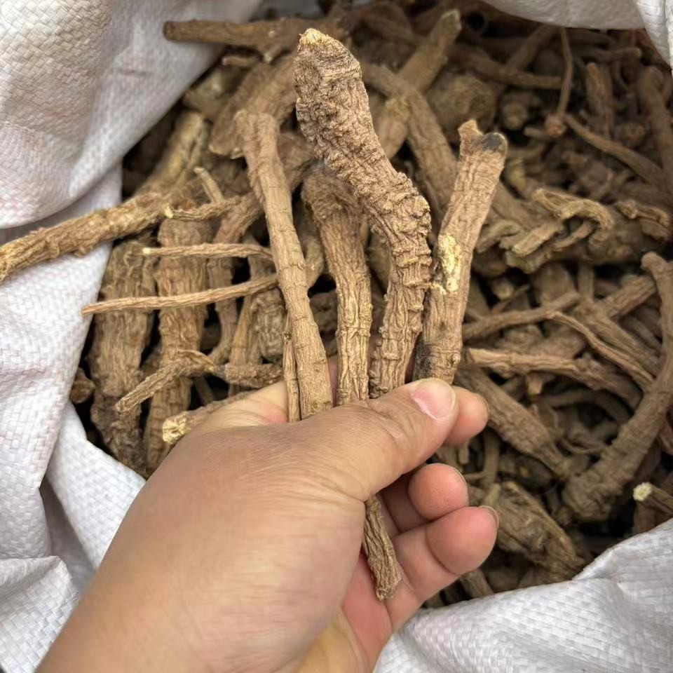 Sichuan Angelica, Angelica Root, Spices, Marinade, Ingredients Wholesale, Sulfur-Free Natural Sun-Drying Produced by Farmers