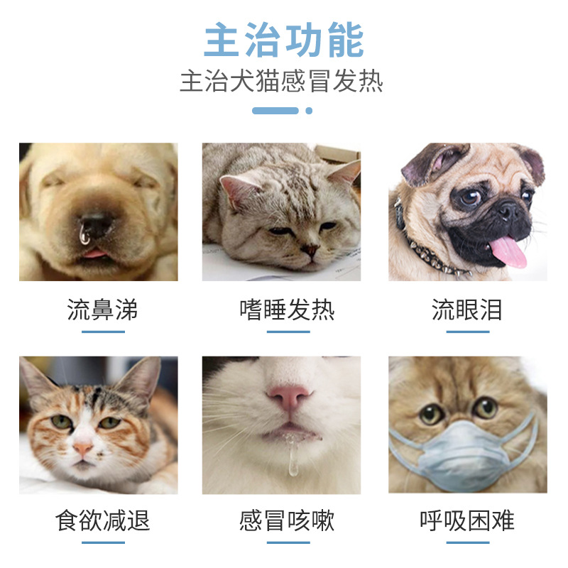 Pet Dogs and Cats Cold Medicine, Cough, Runny Nose, Sneezing, Fever, Special Double Yellow Tablets for Young Dogs and Cats