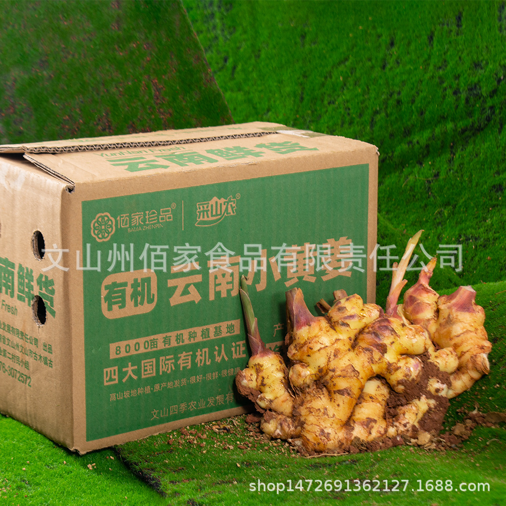 Organic Fresh Ginger with Mud 500G/Box Yunnan Organic Fresh Turmeric Supports Drop Shipping and Direct Sales from the Origin