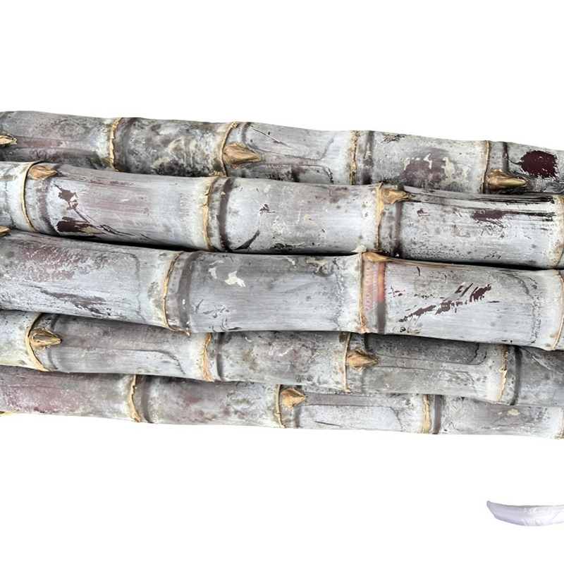 黑皮甘蔗新鲜水果脆甜多汁甘蔗产地直供量大从优