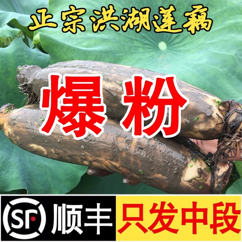 Суп из розового корня лотоса Хонгху, свежие специальные овощи, тушеный корень лотоса с клейким рисом, девятиручный корень лотоса, красный корень лотоса, Sf Express