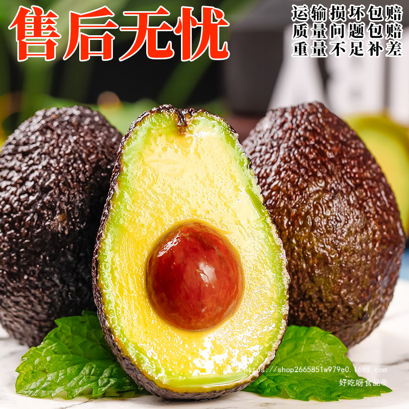 Yunnan Avocado Jumbo Fruit Seasonal Whole Box Ripe Ready-To-Eat Avocado Forest Cream Wholesale