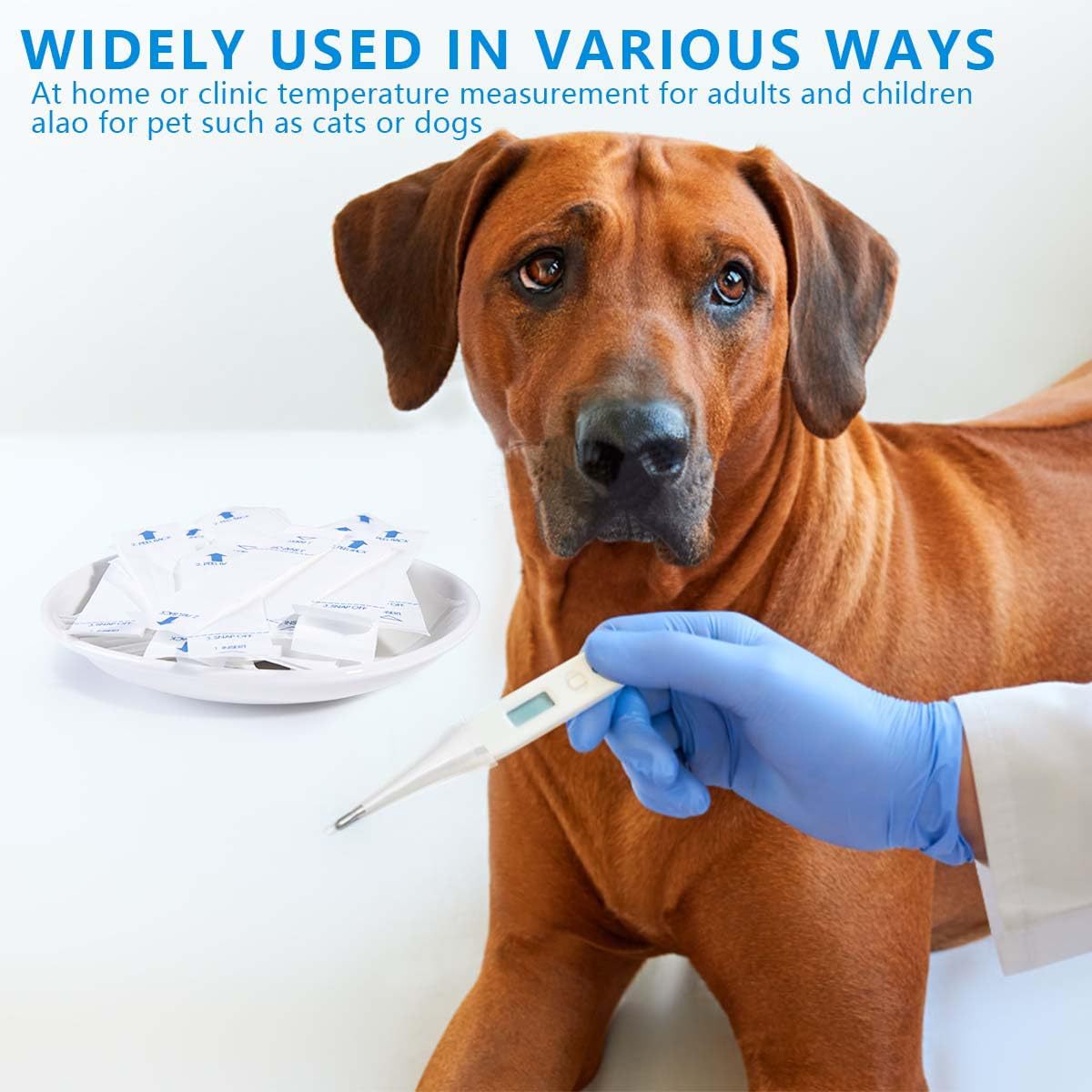 Oral Thermometer Set 100 Pieces in a Box Baby Kidsren Adult Pet Disposable Digital Thermometer Set Mercury Thermometer