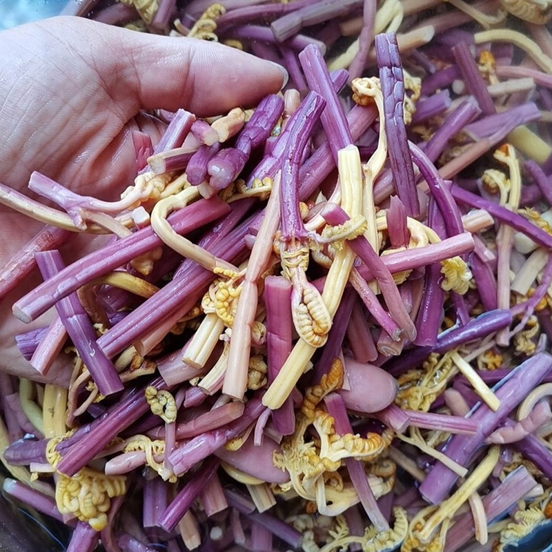 Clear Water Bracken Roots, Fresh and Tender Hot Pot Skewers, Commercial Vegetables, Crispy, Tender, Refreshing, Clean and Free of Debris 5 Packs