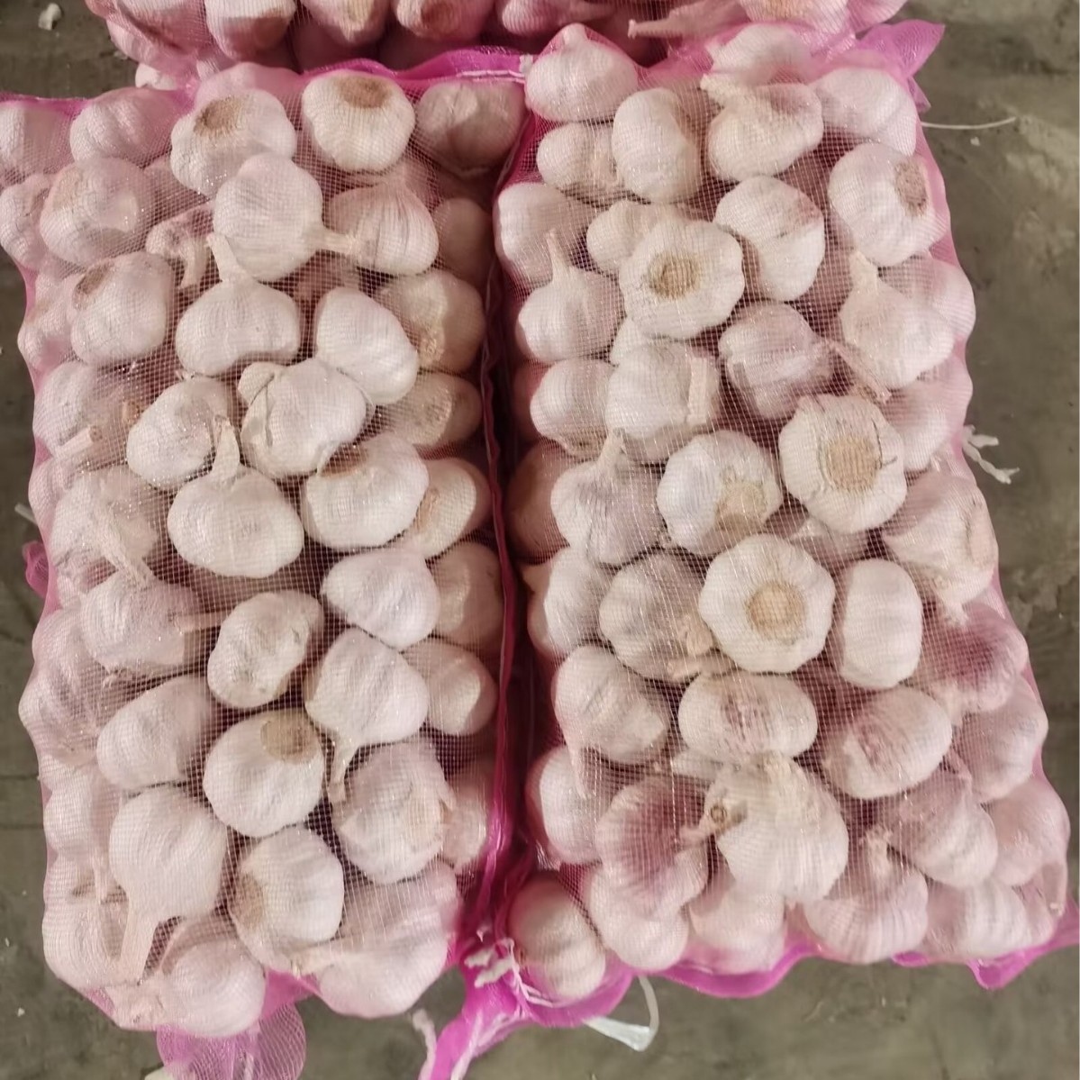 Оптовая продажа чеснока из Шаньдуня: 4.5-6см, фиолетовые сушеные головки, большой запас, очищенные, высокое качество