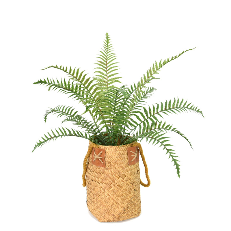 Environmental protection simulation plant wall with grass 60cm big leaf Persian grass plastic Fern window decoration fake grass potted plant