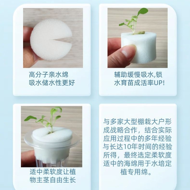 32 # Hydroponic Vegetable Soilless Cultivation Equipment Green Plant Seedling Planting Cotton One-Word Mouth Planting Sponge Wholesale