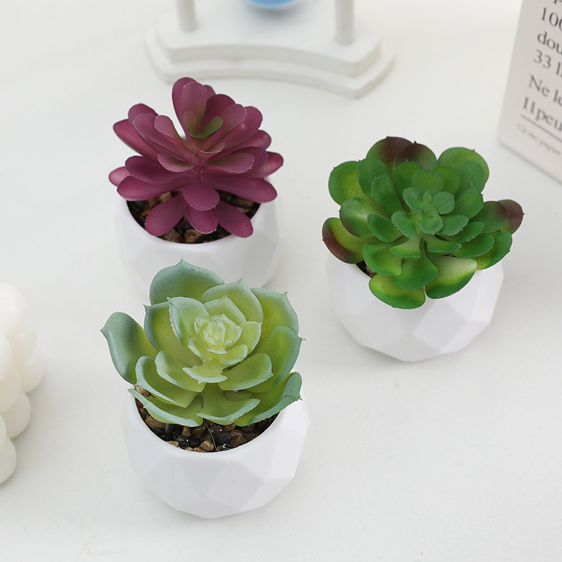 Ready Stock Simulated Succulent Potted Diamond Plastic Pot Succulent Cross-Border Hot Selling Home Landscaping Decorative Ornaments Wholesale