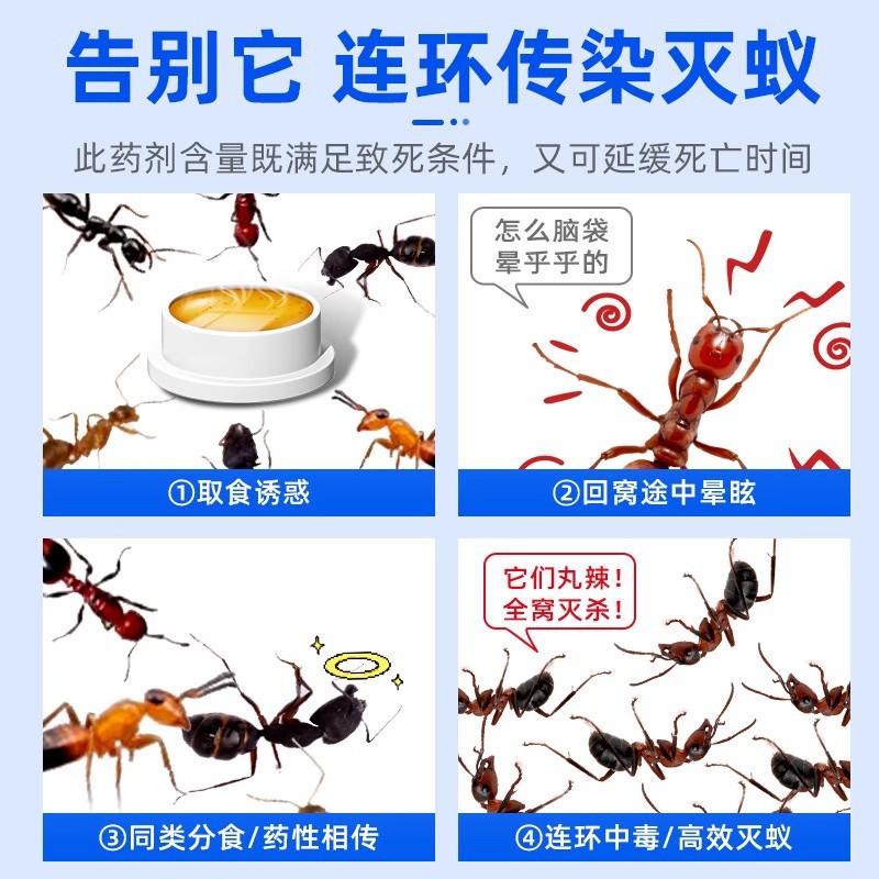 Ant Medicine for Home Indoor Use, Complete Nest Extermination, Non-Toxic Termite Killer Bait, Special Insecticide Dinotefuran