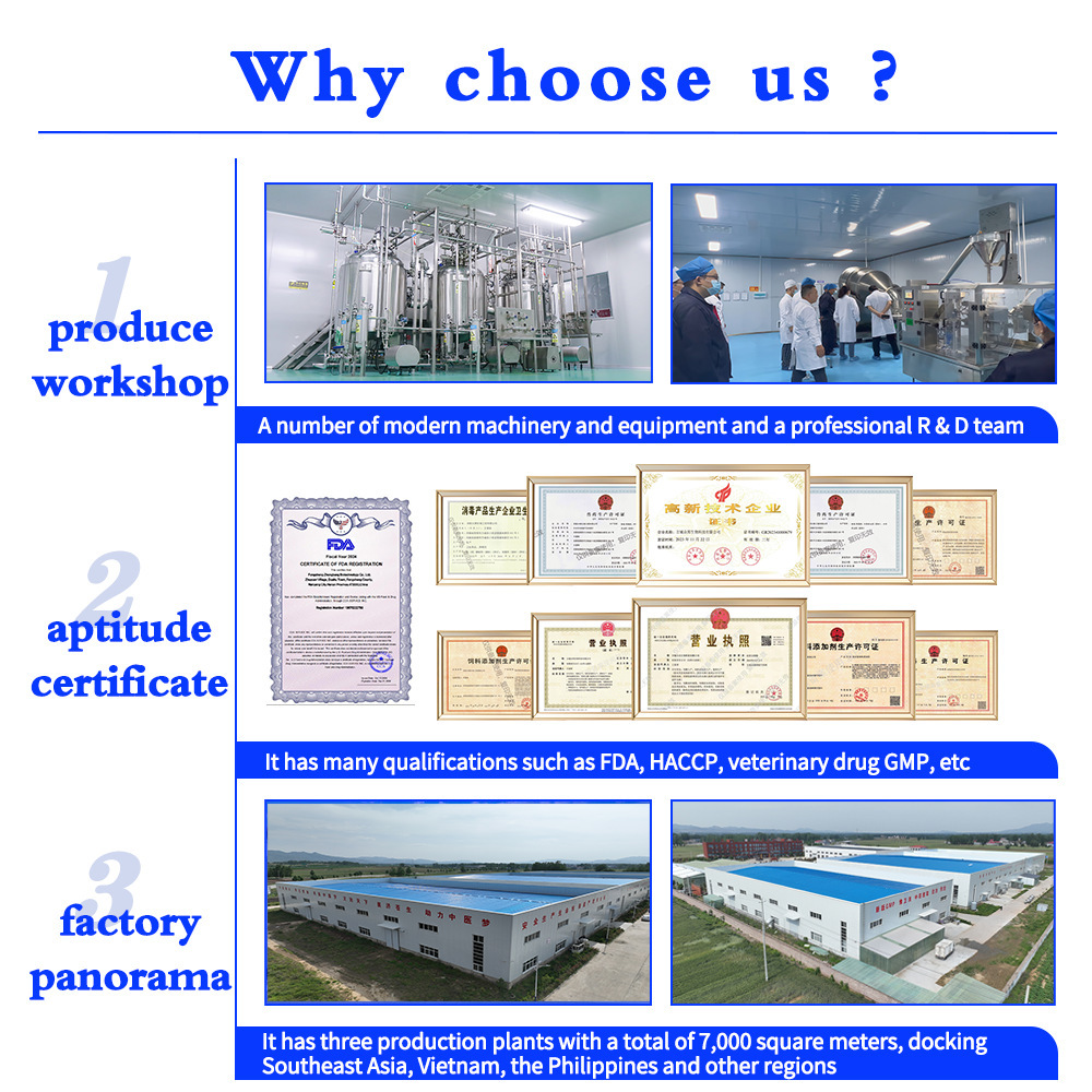 Pet Lecithin Oem Health Care Products Vitamin Lecithin Cross-Border Nutritional Supplements for Dogs and Cats Customized