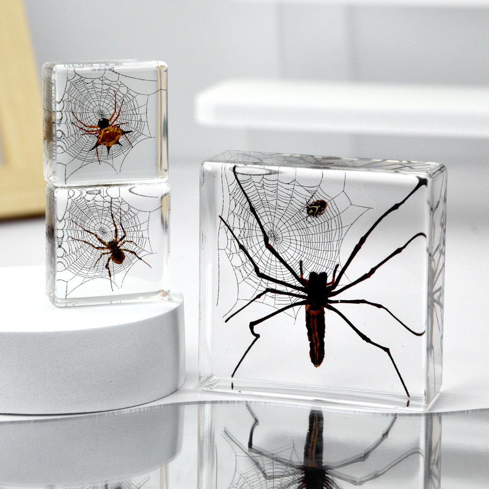 Millennium bug source manufacturers primary source cross-border exclusive for insect specimens real spider resin crafts ornaments