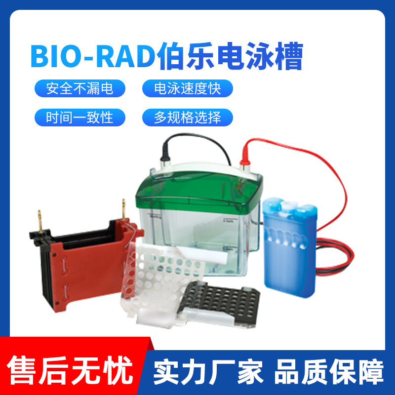 Электрофорезный танк Bole первого класса, американский Bole BIORAD, вертикальный электрофорезный танк, инструмент для электрофореза, трансферный танк, танк для белков