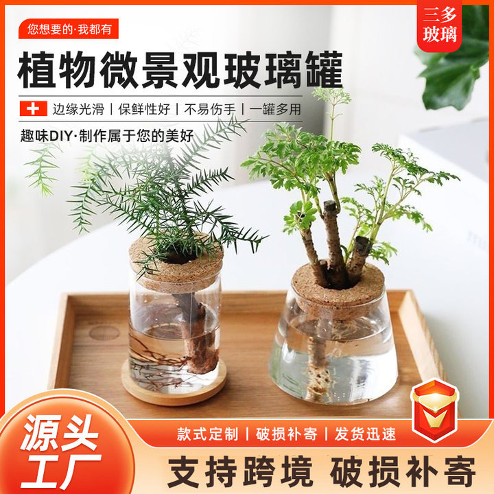 Оптовая микроландшафтная бутылка офисное настольное растение экология бутылка аквариум сосуд высокое боросиликатное гидропонное стеклянное ваза