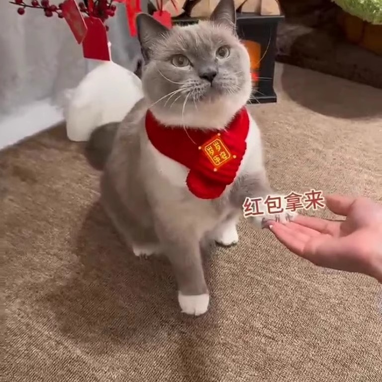 Cat and Dog Scarf New Year Pet Accessories Decorative Scarf Red Cute Wool Warm Knitted Christmas Scarf