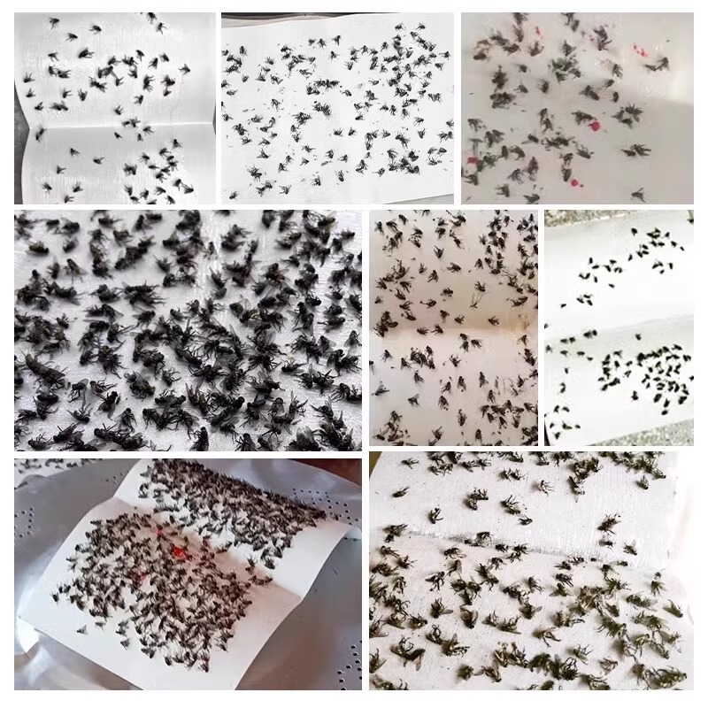 [Powerful Upgrade] Large Fly Paper Fly Sticker Powerful Fly Stick Fly Board to Kill Flies and Mosquitoes to Catch Household Sweep