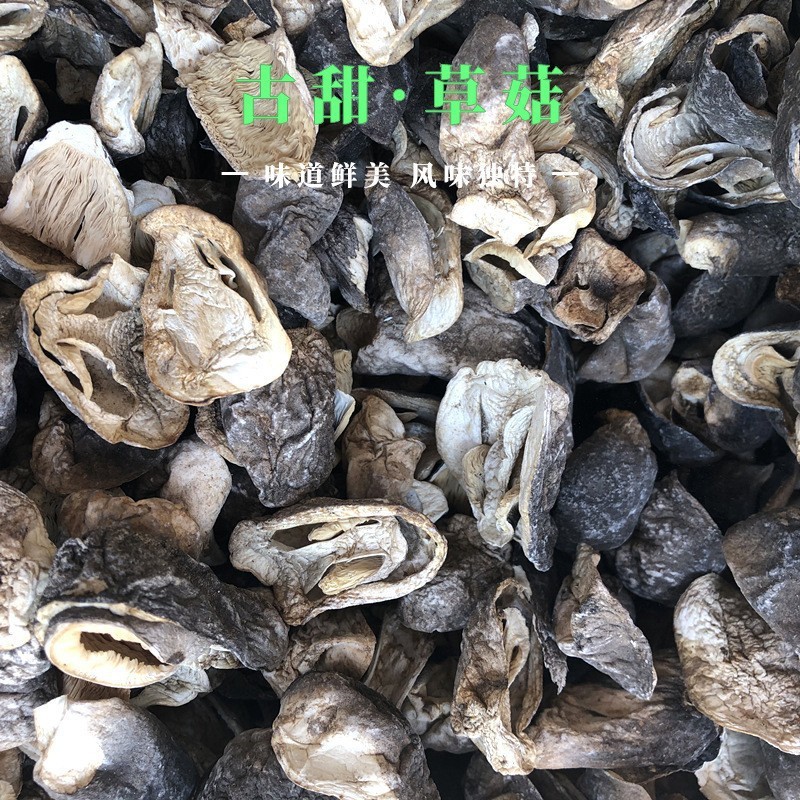 Сушеные половинки соломенных грибов Гутянь, ломтики соломенных грибов, экспортируемые соломенные грибы, ломтики соломенных грибов в чистой воде, консервированные соломенные грибы