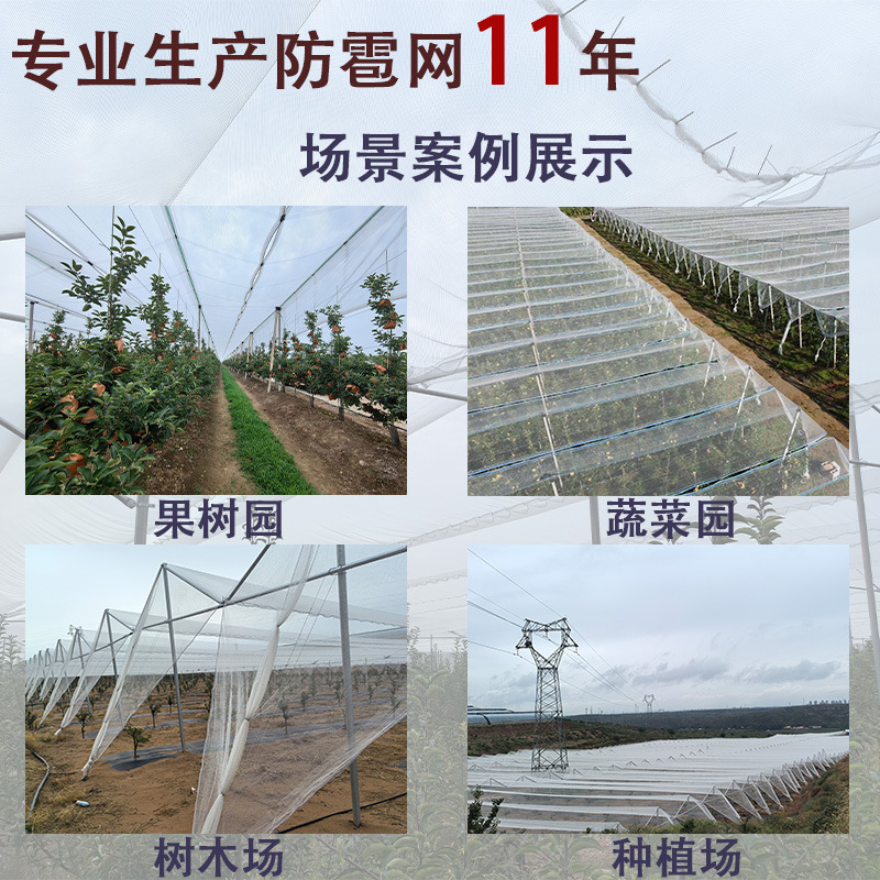 Anti-Hail Net White Rhombus Apple Orchard Cherry Tree Anti-Hail Net Rice Planting Flower Garden Thickeneded Anti-Hail Net