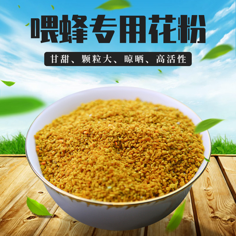 Zhuoyu Manufacturer Directly Supplies Ready-Made Sunflower Mixed Powder, Rapeseed Mixed Powder, Bee Food, Large Quantities of Bee Food Are Exported Preferentially