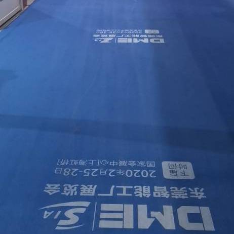 Non-woven Carpet Printing Custom Pattern LOGO Disposable Wedding Celebration Festive Welcome Exhibition Exhibition Carpet