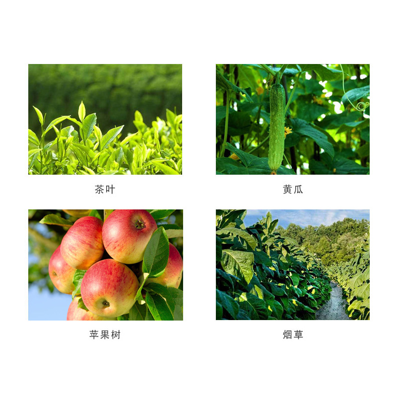 German Bihuchi Indai Brassica Flower Preservation Fruit Antidote Plant Growth Regulator 1G